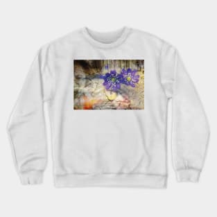 Never Enough Crewneck Sweatshirt